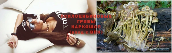 тгк Бронницы