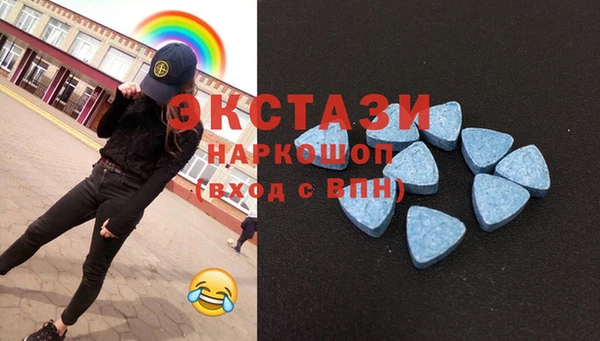 тгк Бородино
