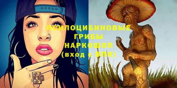 тгк Бородино