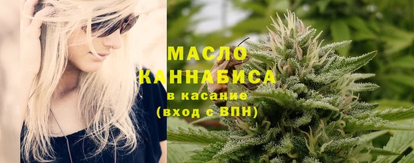 тгк Бородино