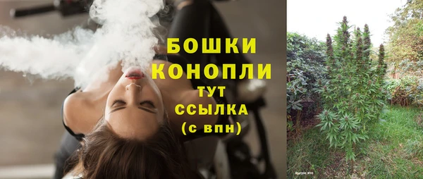 тгк Бронницы