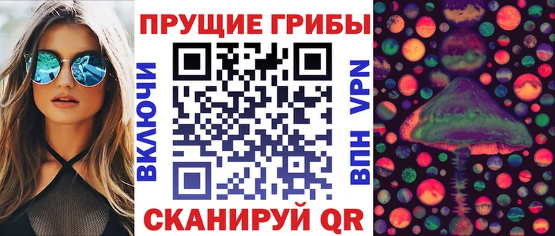 ОМГ ОМГ вход  Кондопога  Псилоцибиновые грибы мухоморы 